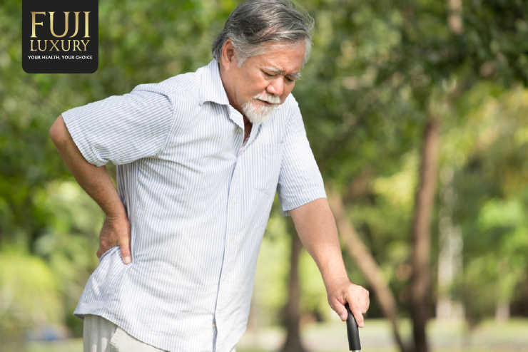 Người già thường xuyên gặp phải tình trạng đau mỏi lưng ảnh hưởng tới cuộc sống 
