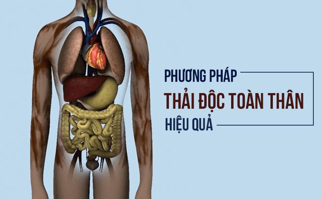 4 Cách thải độc cơ thể đơn giản và hiệu quả tại nhà