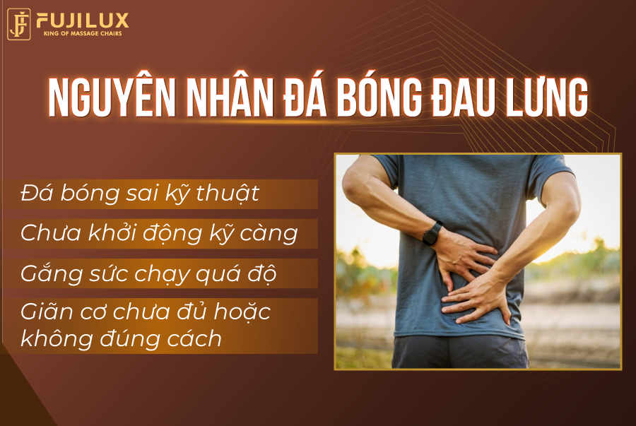 Có rất nhiều nguyên nhân có thể gây nên tình trạng đau lưng