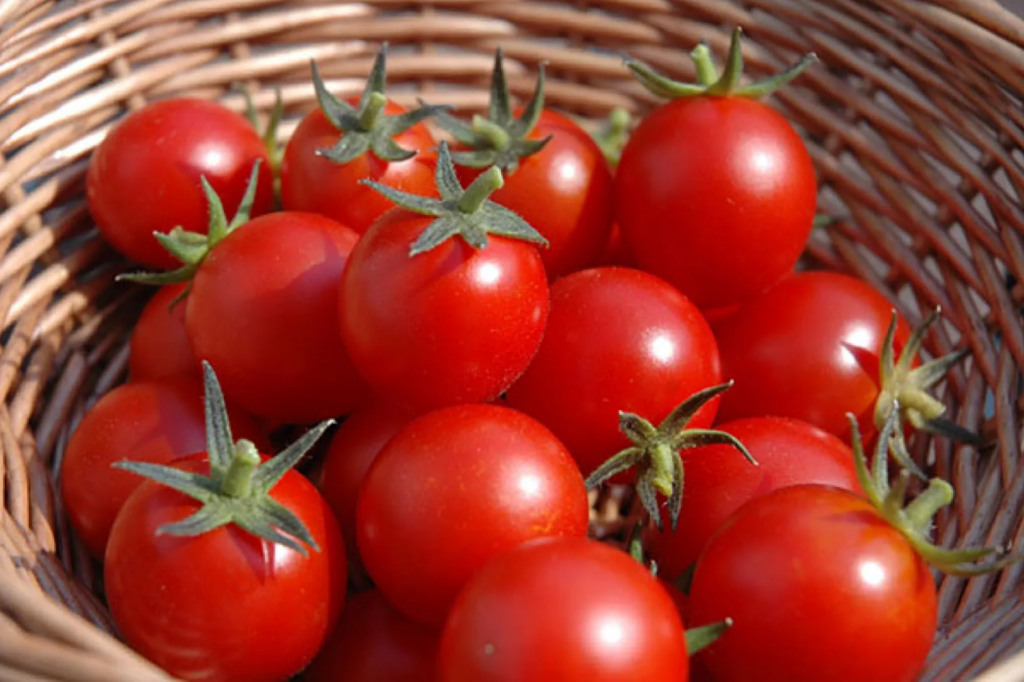 Cà chua một trong số những loại rau củ cải thiện sức khỏe xương khớp